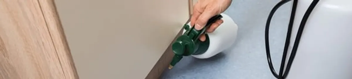 Bed bug exterminator treating baseboards and cracks with targeted spray in Tuscaloosa, AL