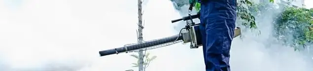 Pest control technician fogging an outdoor area for insect control in Tuscaloosa, AL