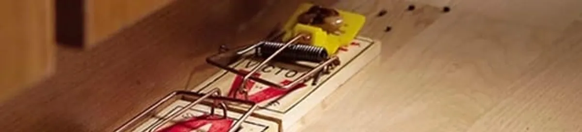 Rodent trap set indoors for rodent control and prevention in Tuscaloosa, AL